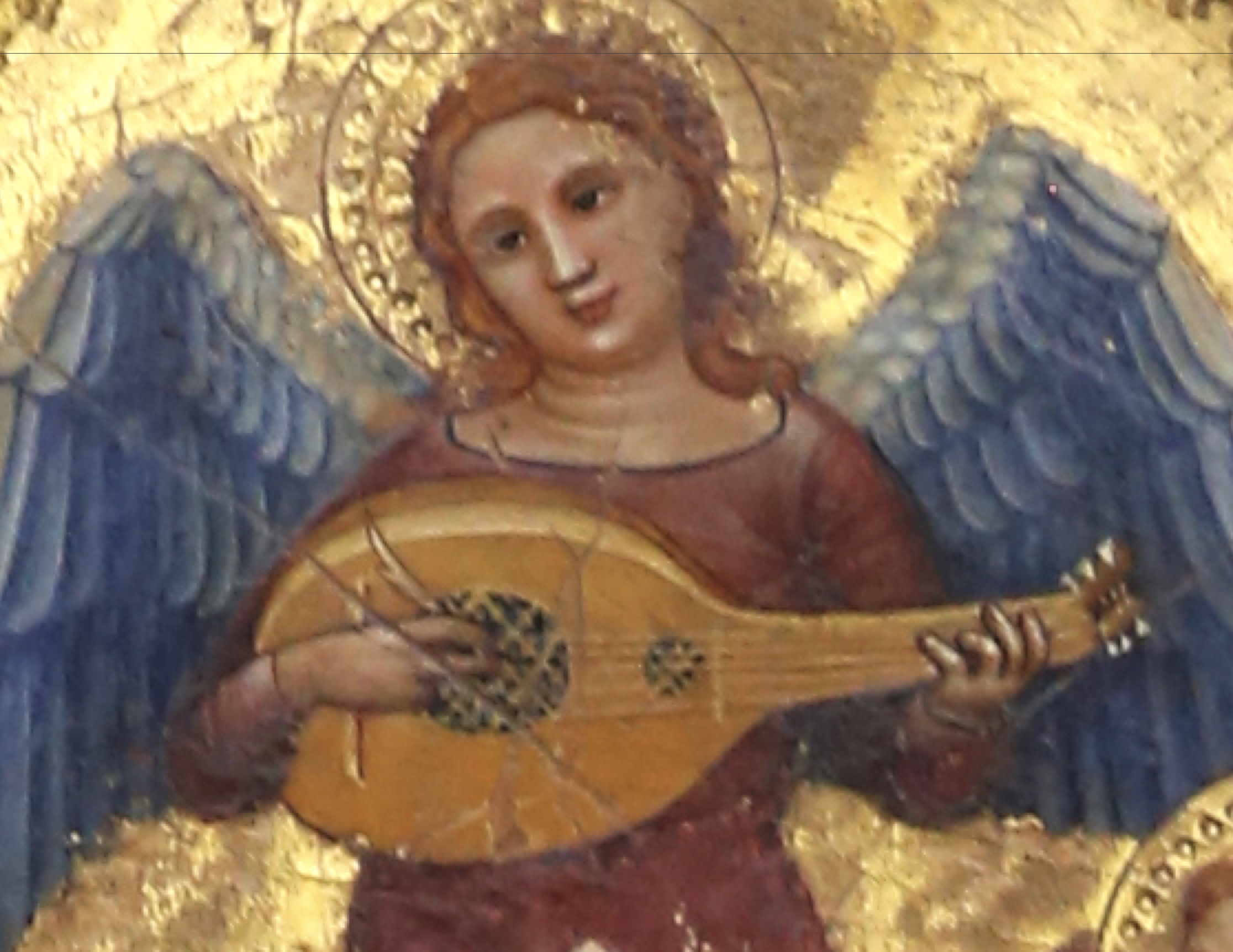 Turone da Verona detail